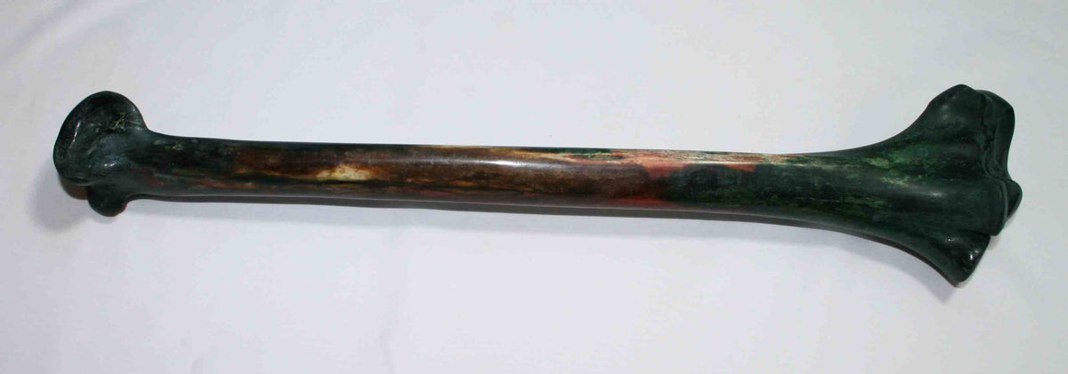 NB2021MMA10 Ostrich Bone