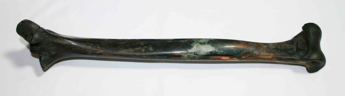 NB2021MMA1 Ostrich Bone