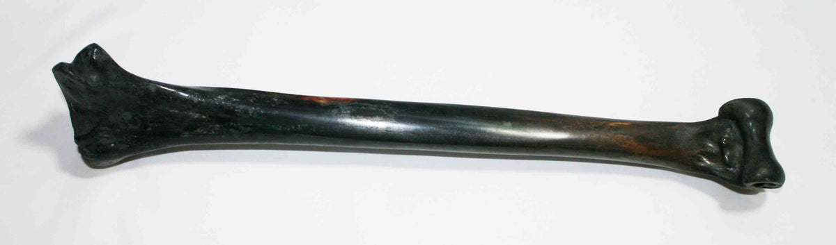 NB2021MMA4 Ostrich Bone