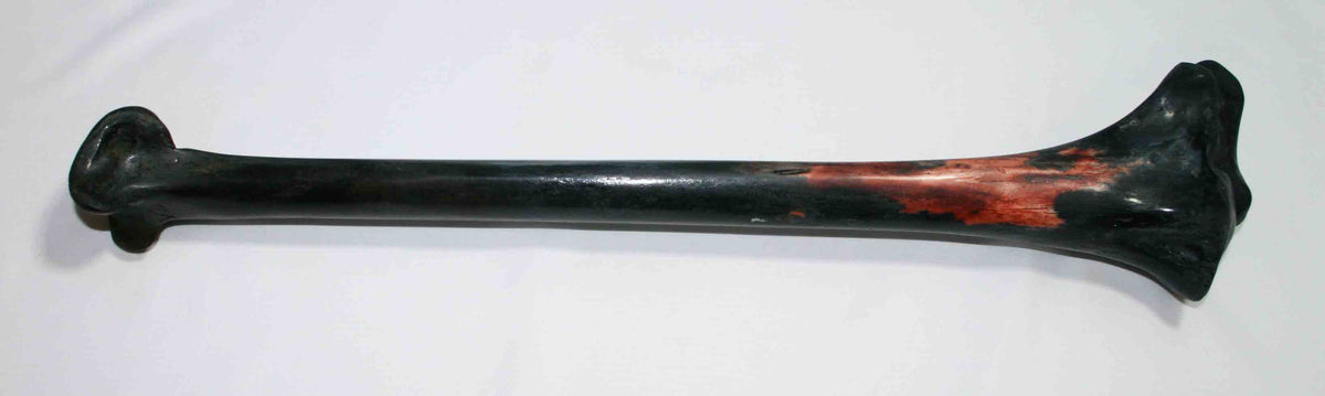 NB2021MMA9 Ostrich Bone