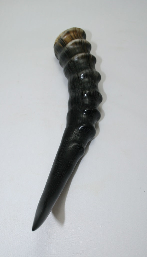 NB301GS10 Blesbok Whole Horn