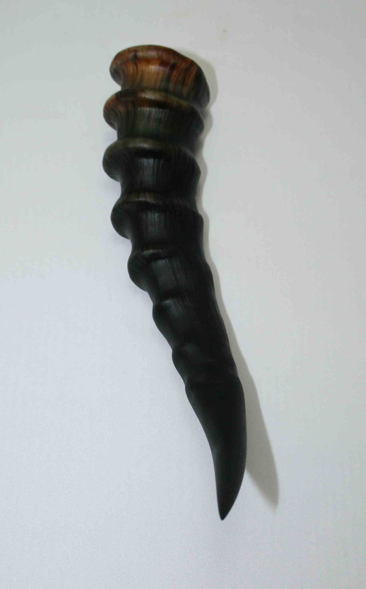 NB301JS9 Blesbok Whole Horn