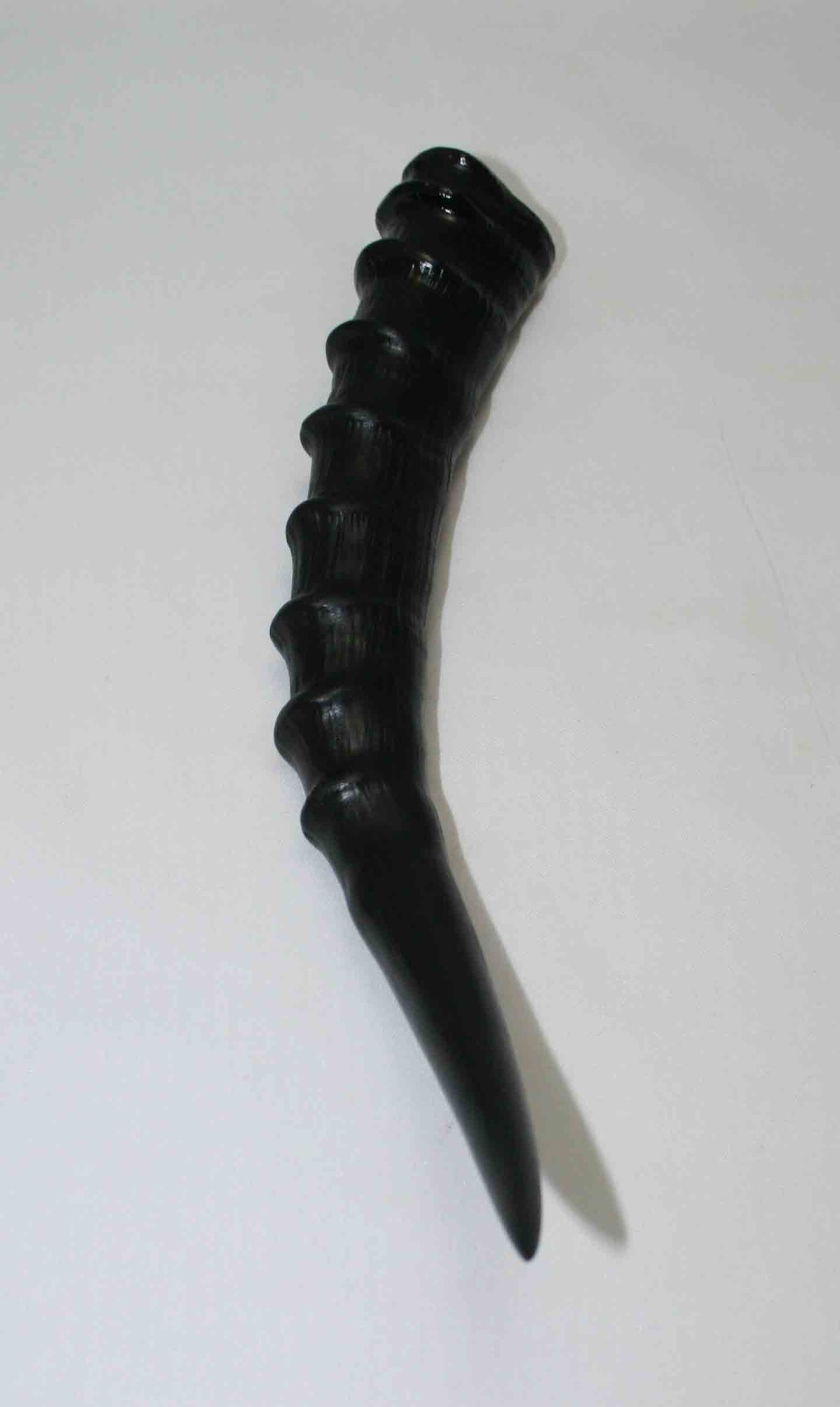 NB301LG12 Blesbok Whole Horn