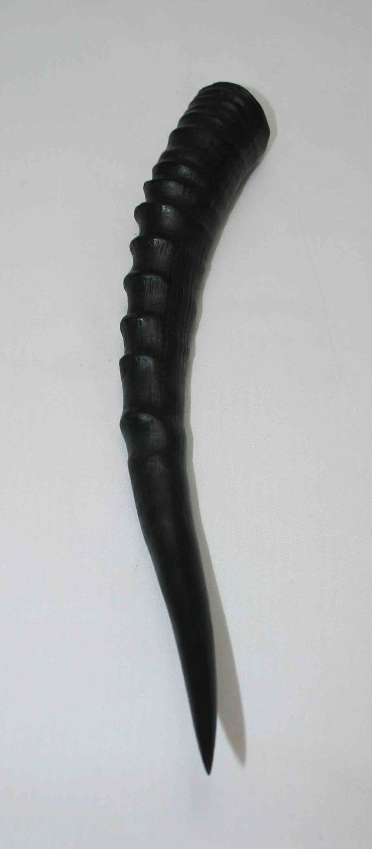 NB301LG1 Blesbok Whole Horn
