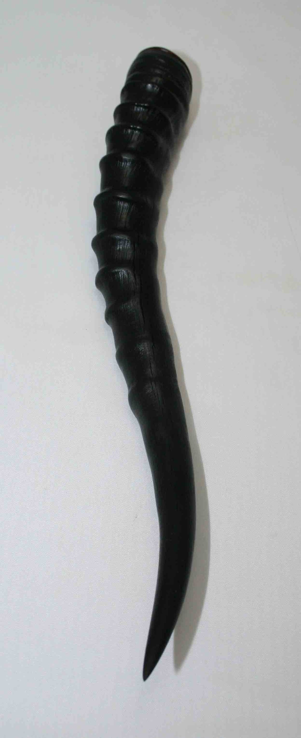 NB301LG3 Blesbok Whole Horn