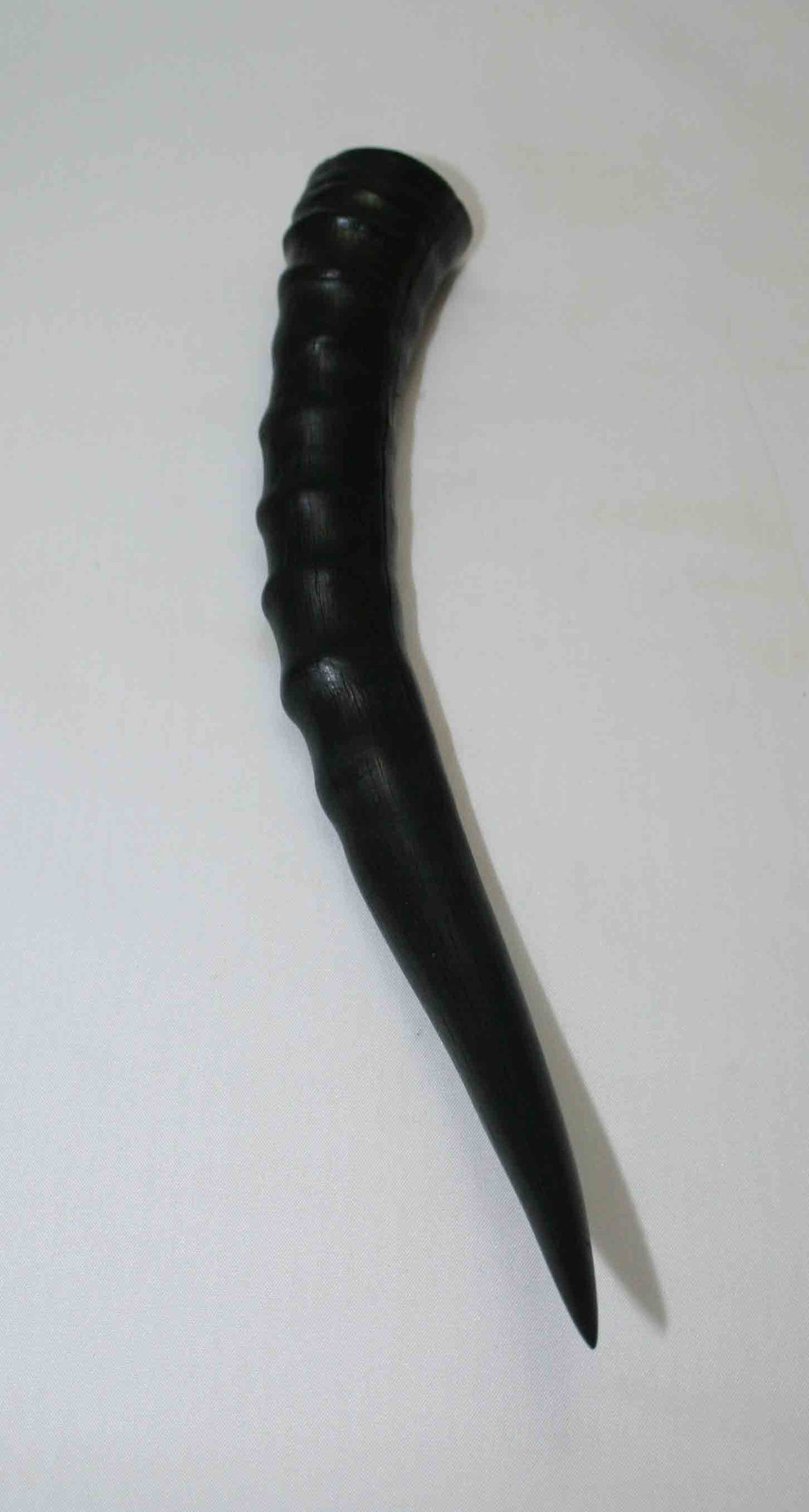 NB301LG7 Blesbok Whole Horn