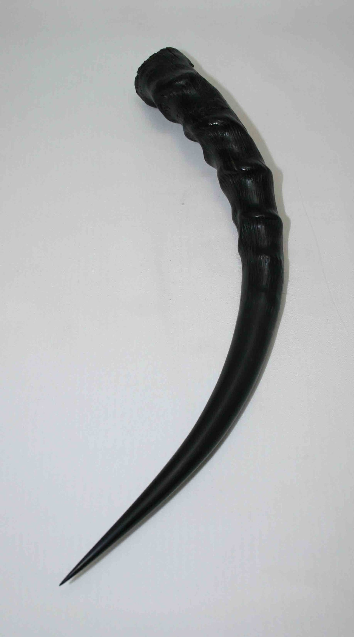 NB301LG8 Blesbok Whole Horn