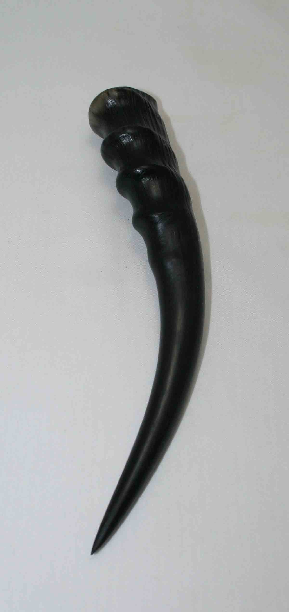 NB301LG9 Blesbok Whole Horn