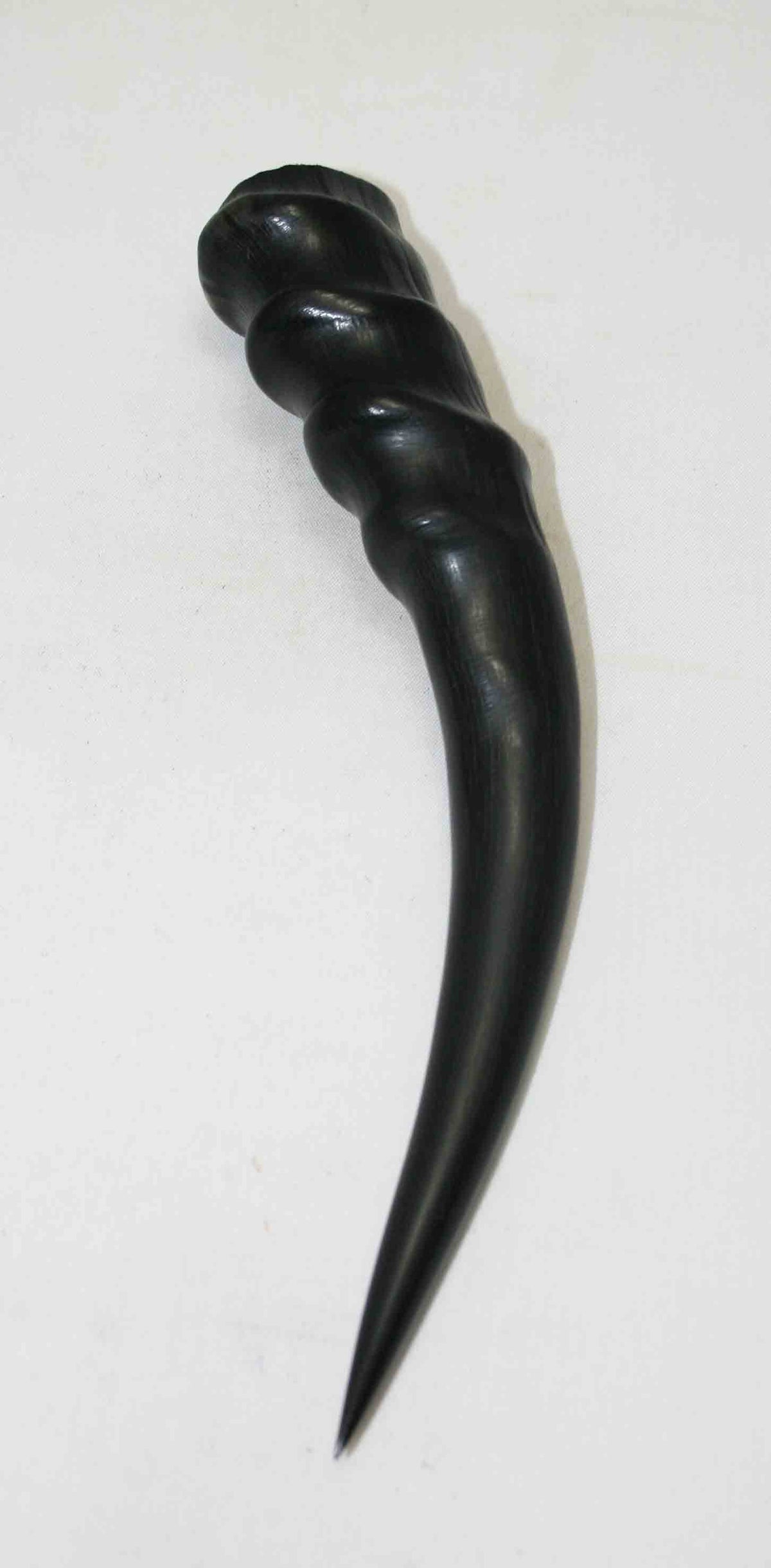 NB301NA3 Blesbok Whole Horn 9.25" x Top End 1.33" x 0.94"inch