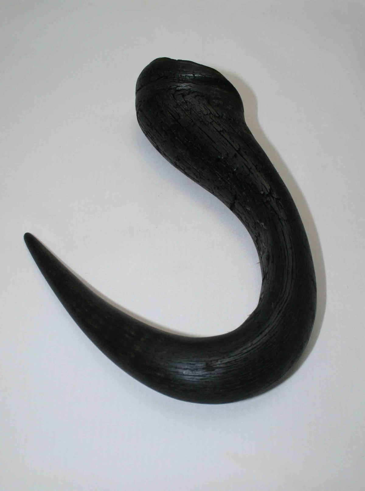 NB302LG2 Wildebeest Whole Horn