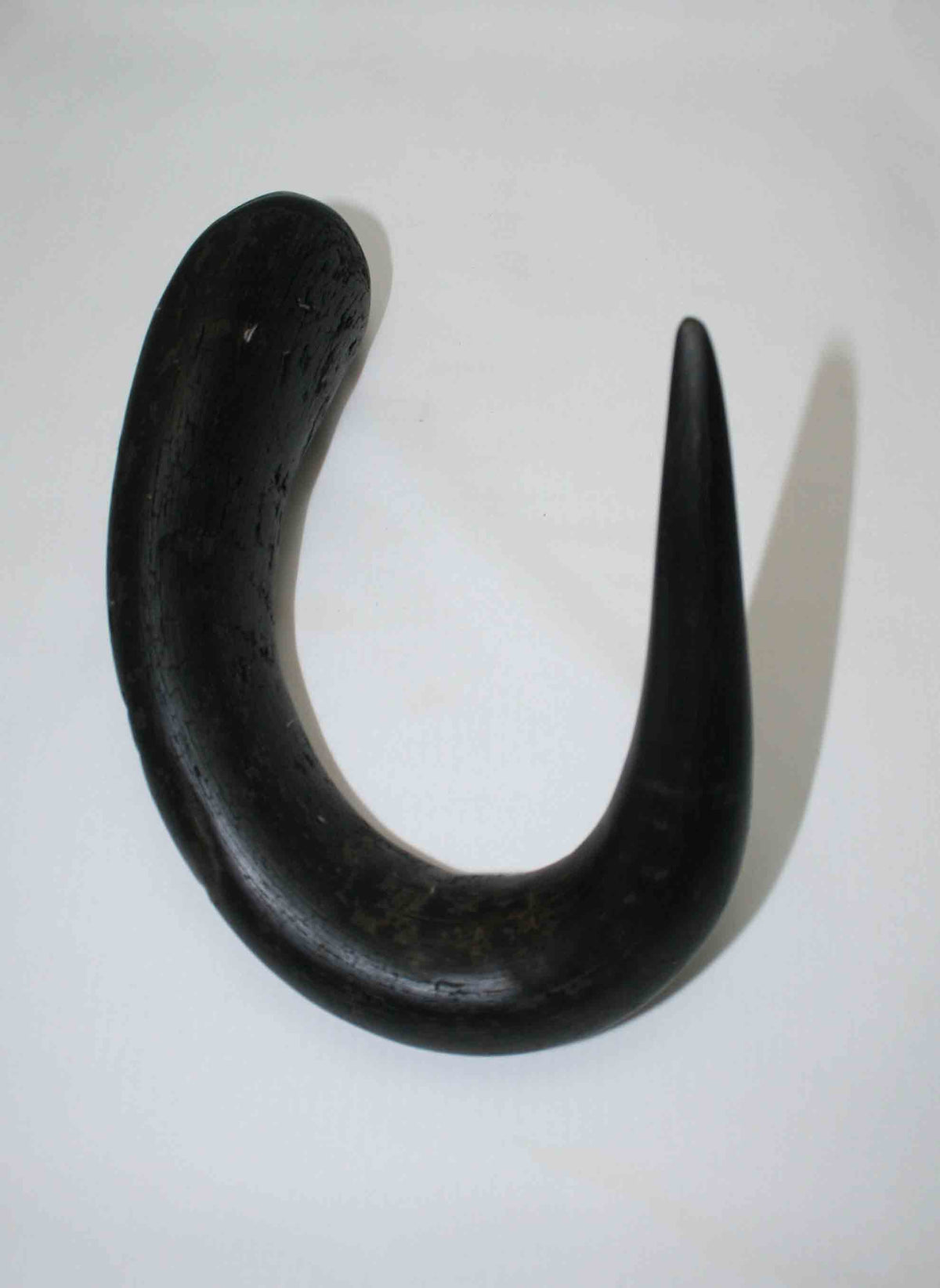 NB302LG4 Wildebeest Whole Horn