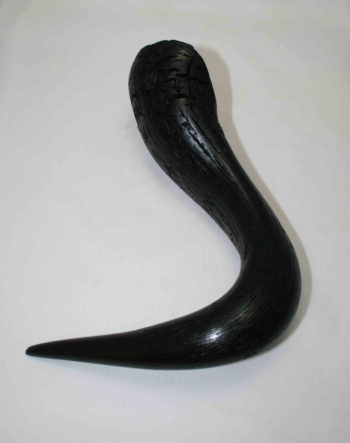 NB302LG6 Wildebeest Whole Horn
