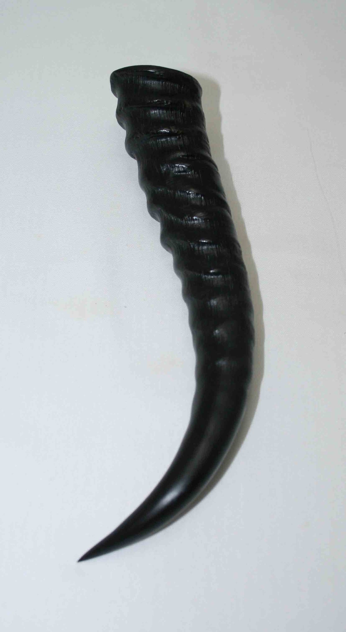 NB401LG3 Springbok Whole Horn Male