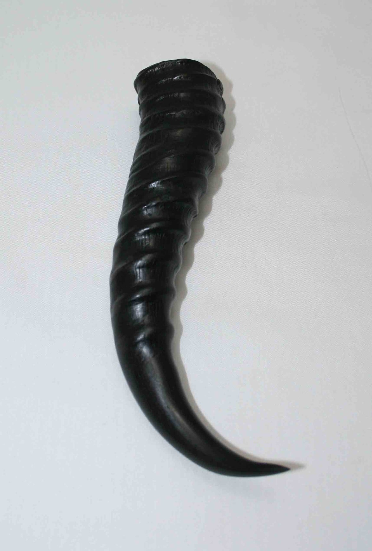 NB401LG8 Springbok Whole Horn Male