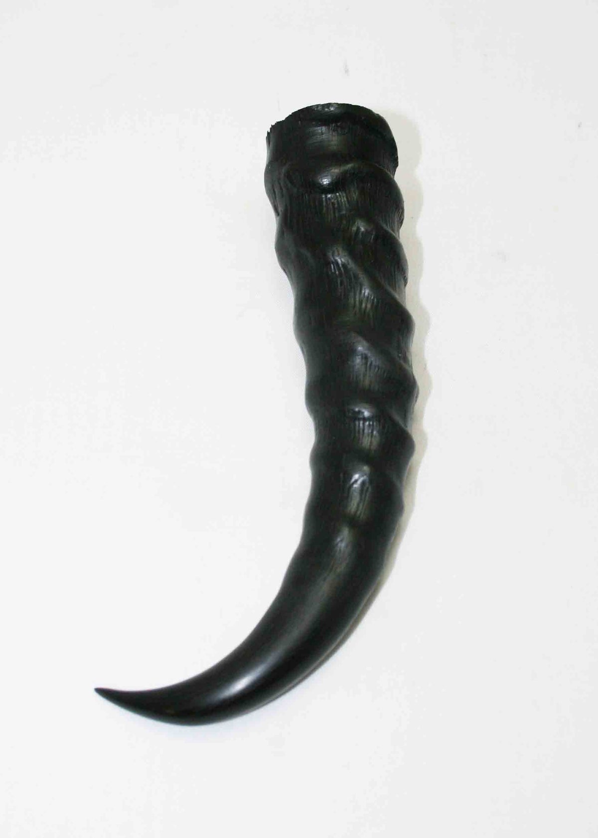 NB401MMA10 Springbok Whole Horn Male