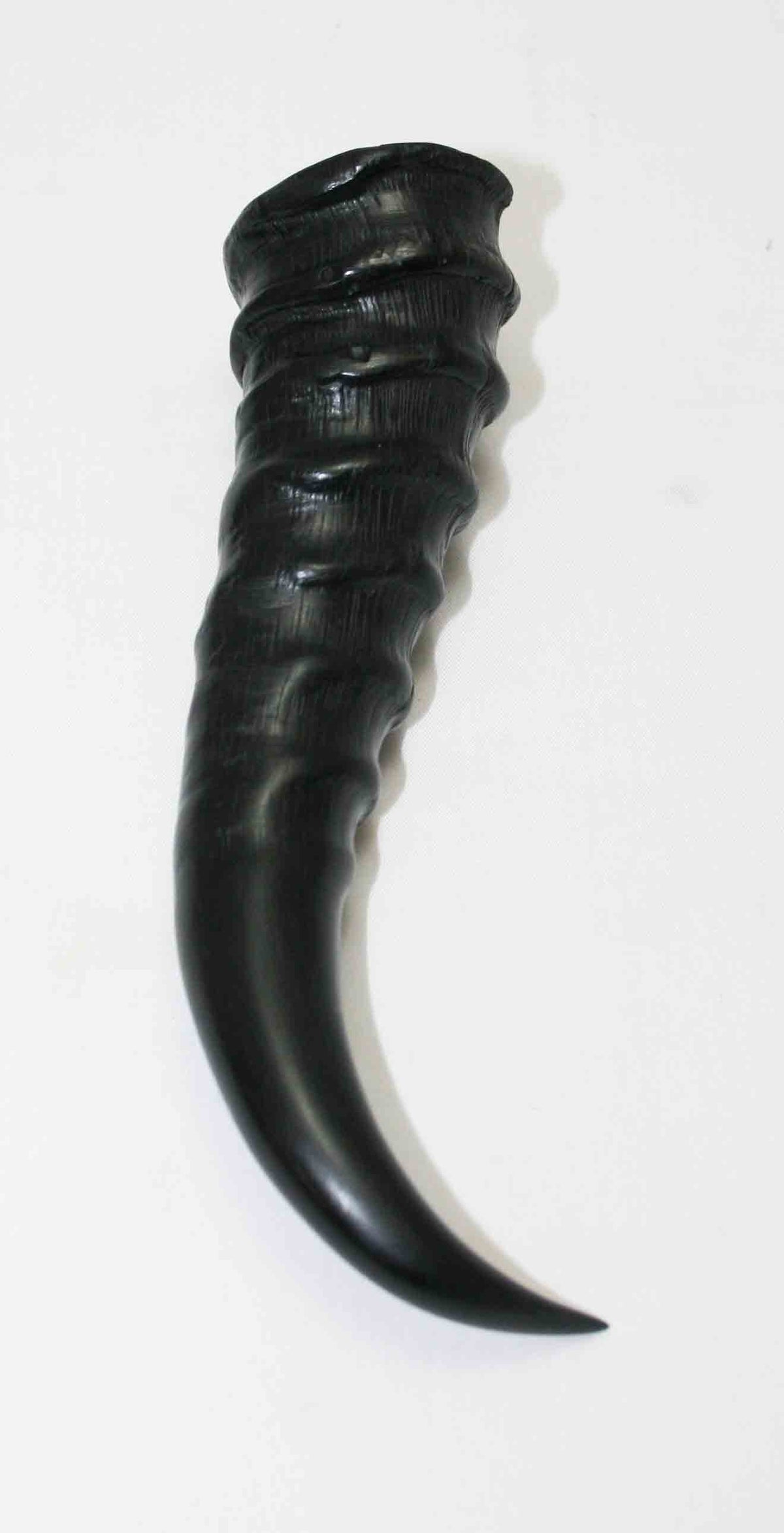 NB401MMA2 Springbok Whole Horn Male