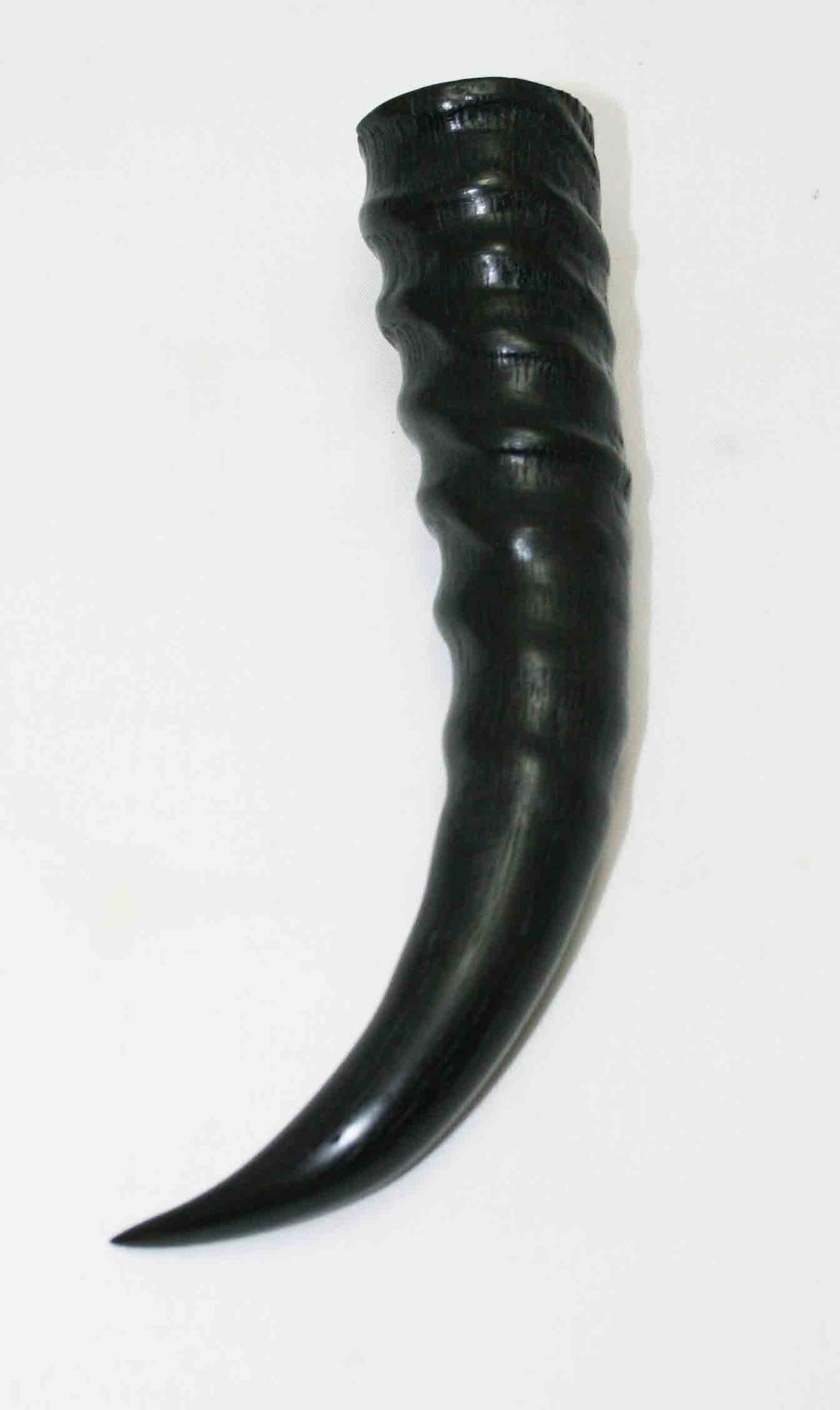 NB401MMA4 Springbok Whole Horn Male