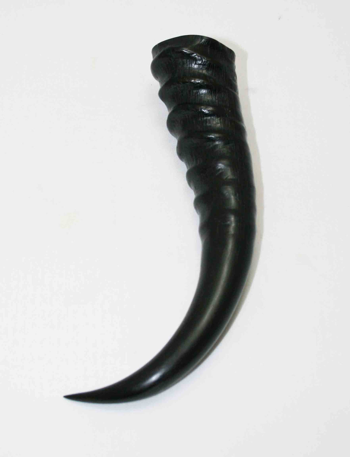 NB401MMA7 Springbok Whole Horn Male