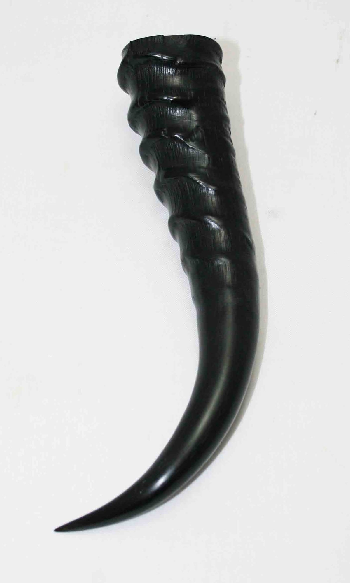 NB401MMA8 Springbok Whole Horn Male