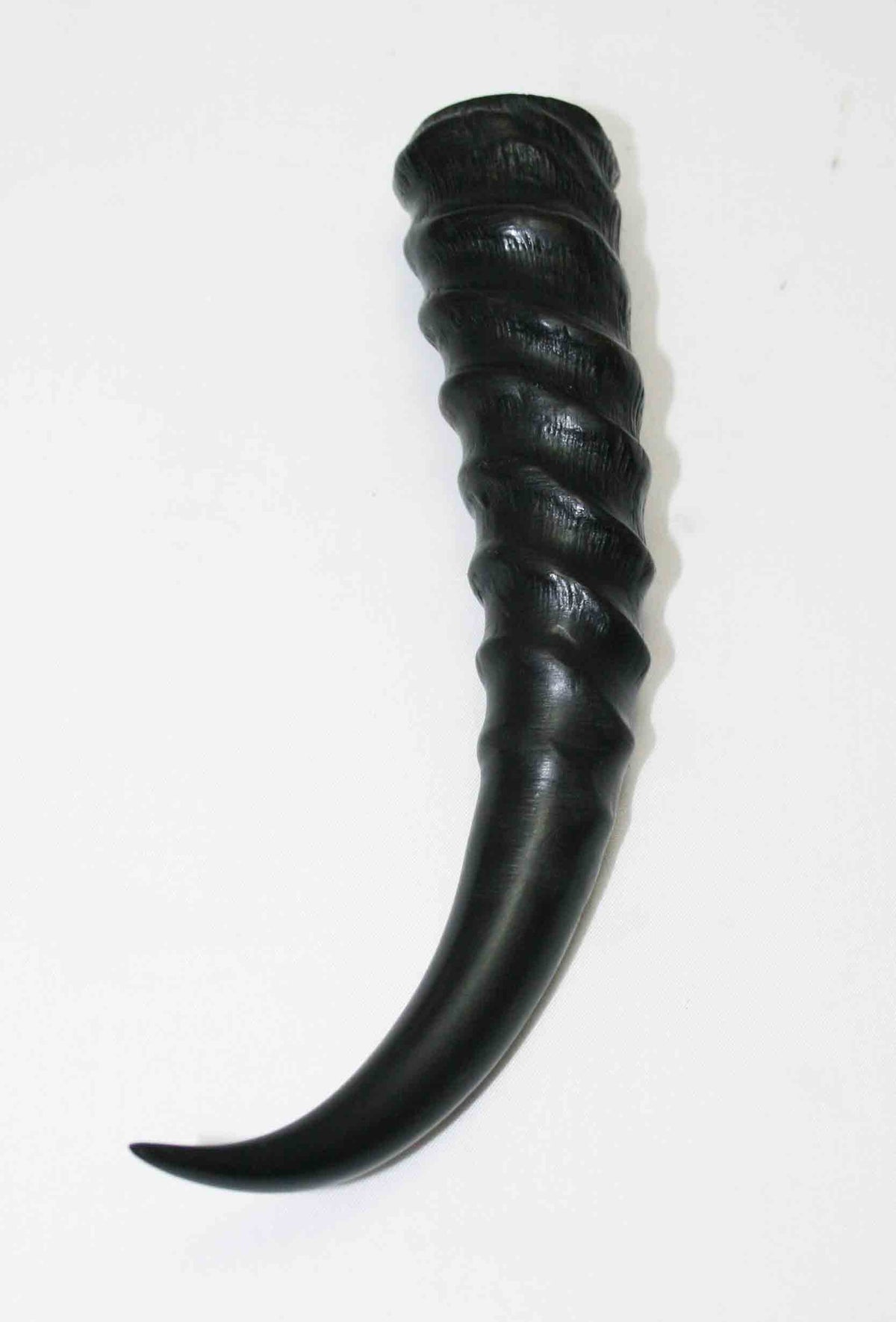 NB401MMA9 Springbok Whole Horn Male