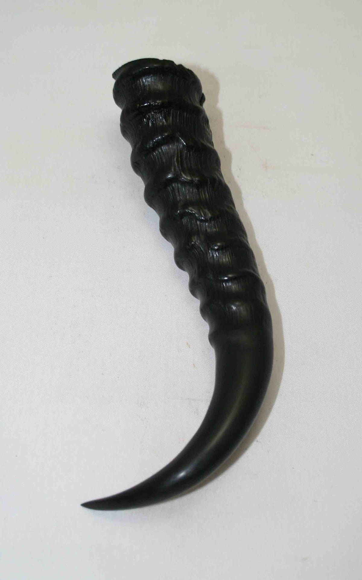 NB401NA4 Springbok Whole Horn Male 6.75" x (Top end) 1.34" x 1.21" inch