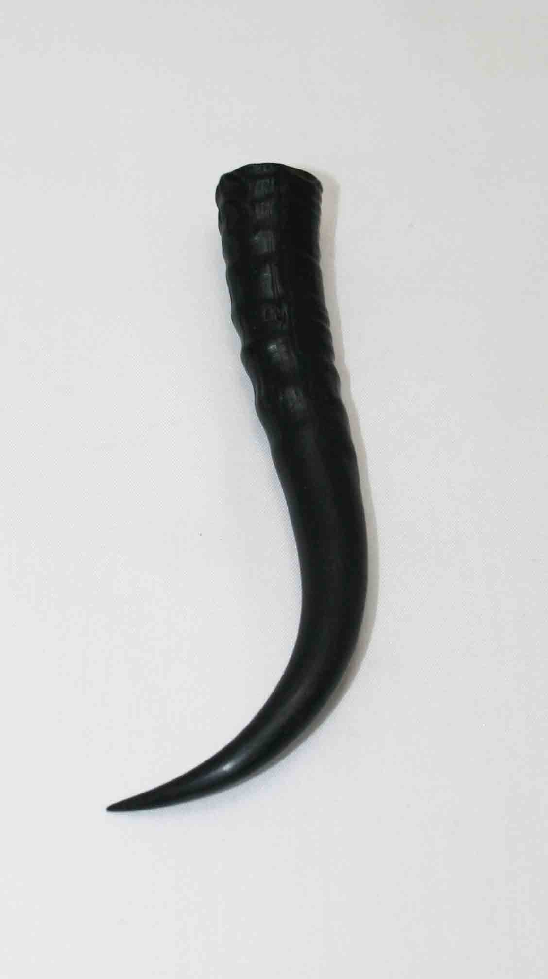 NB402LG10 Springbok Whole Horn Female