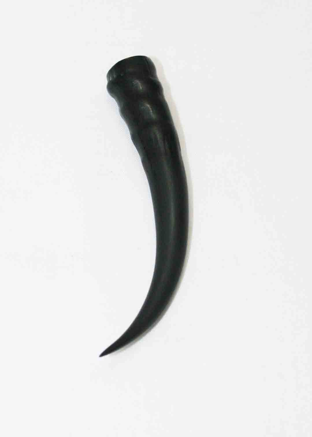 NB402LG2 Springbok Whole Horn Female