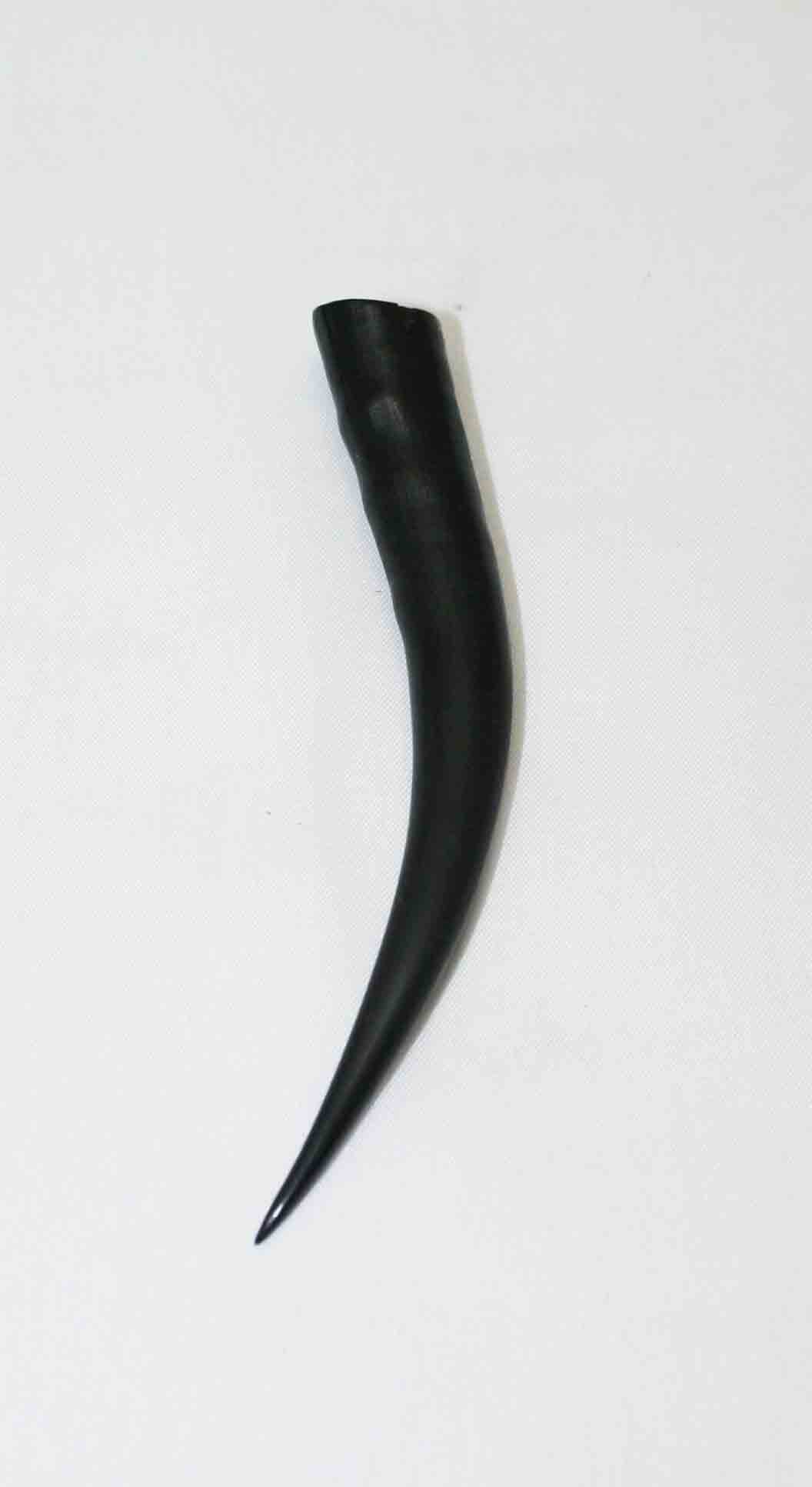 NB402LG6 Springbok Whole Horn Female