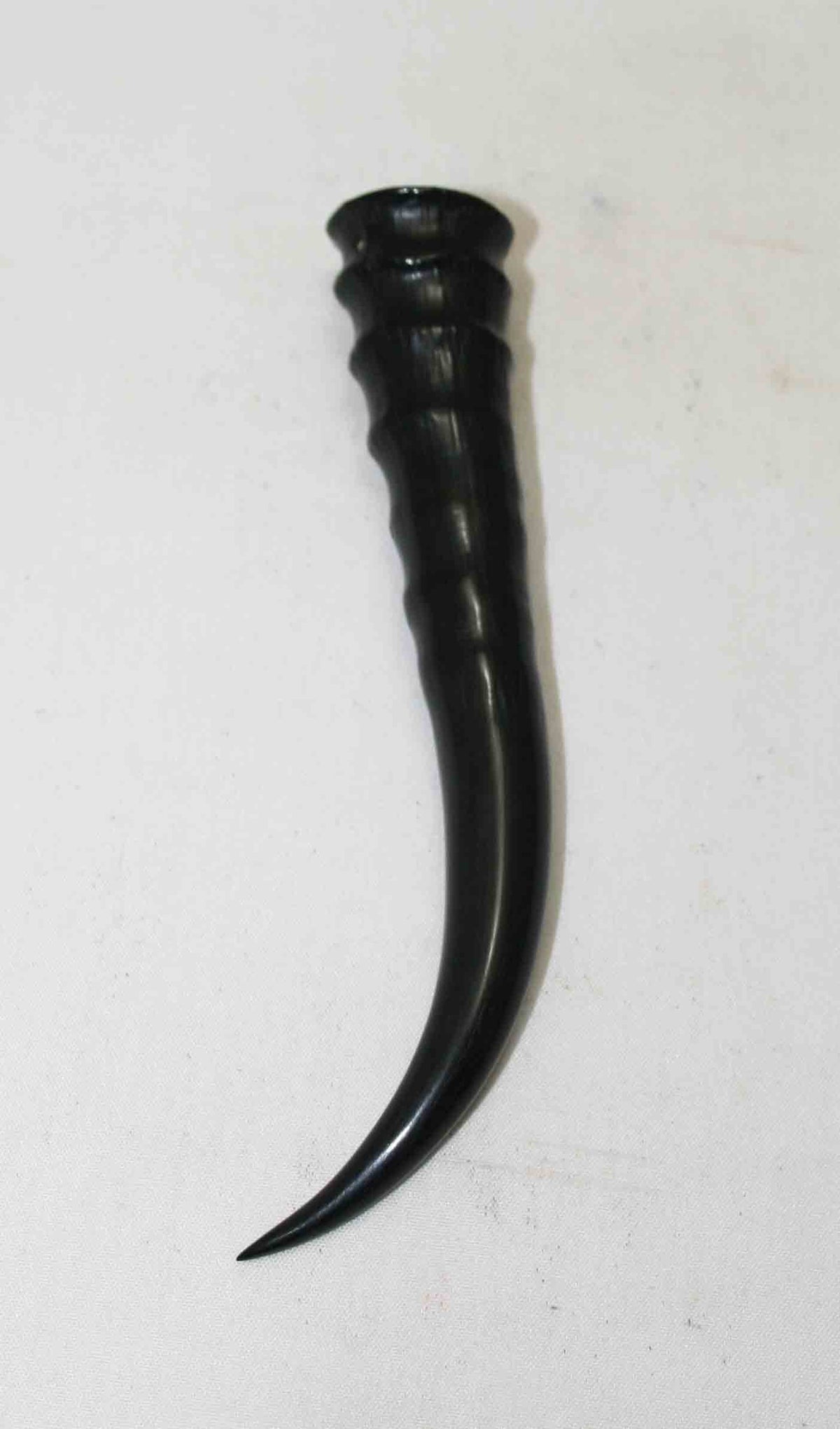 NB402NA5 Springbok Whole Horn Female 5.00" x TOP END: 0.74" x 0.81" inches