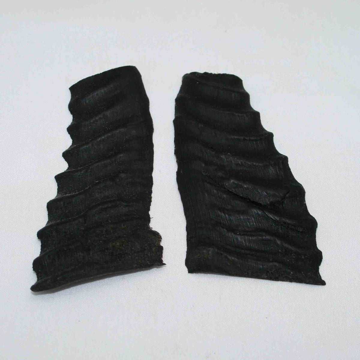 NB403LG10 Springbok Horns Scales