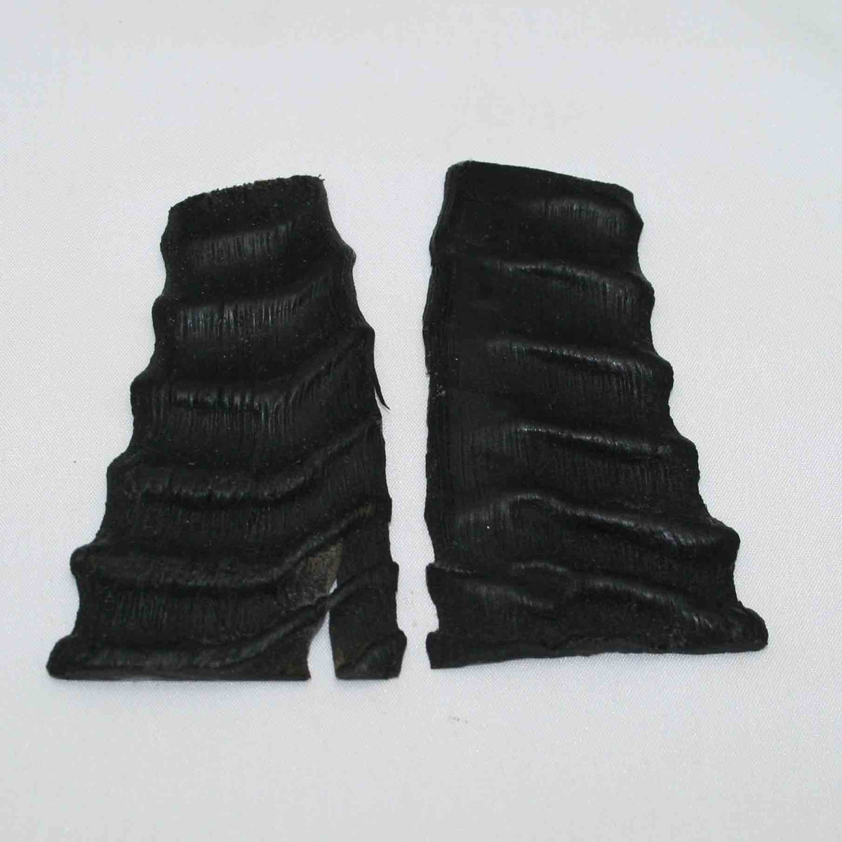 NB403LG3 Springbok Horns Scales