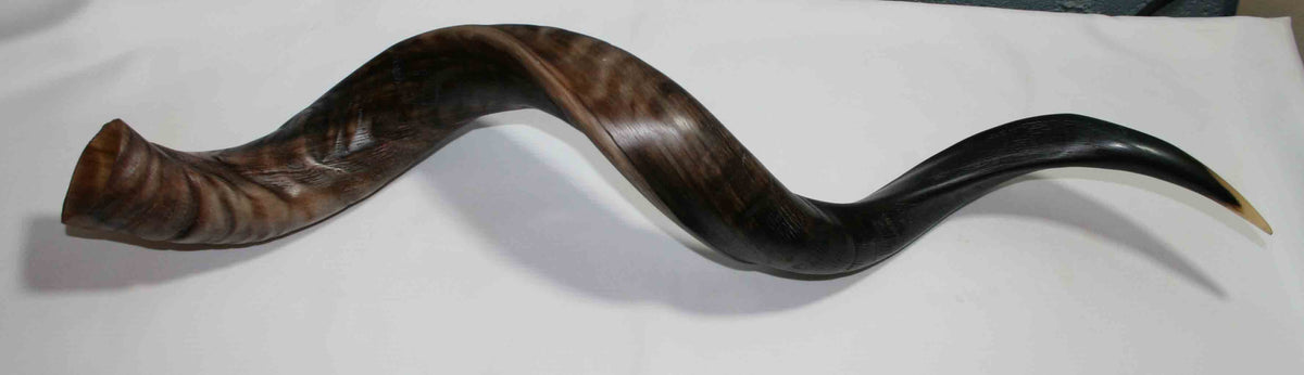 NB500LG1 Kudu Whole Horn