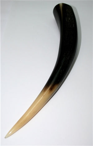 Kudu Horn Tip