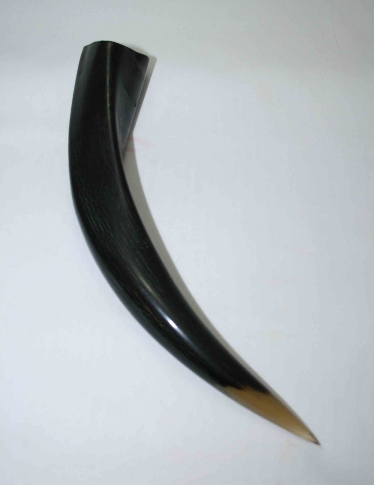 NB501JS2 Kudu Horn Tips