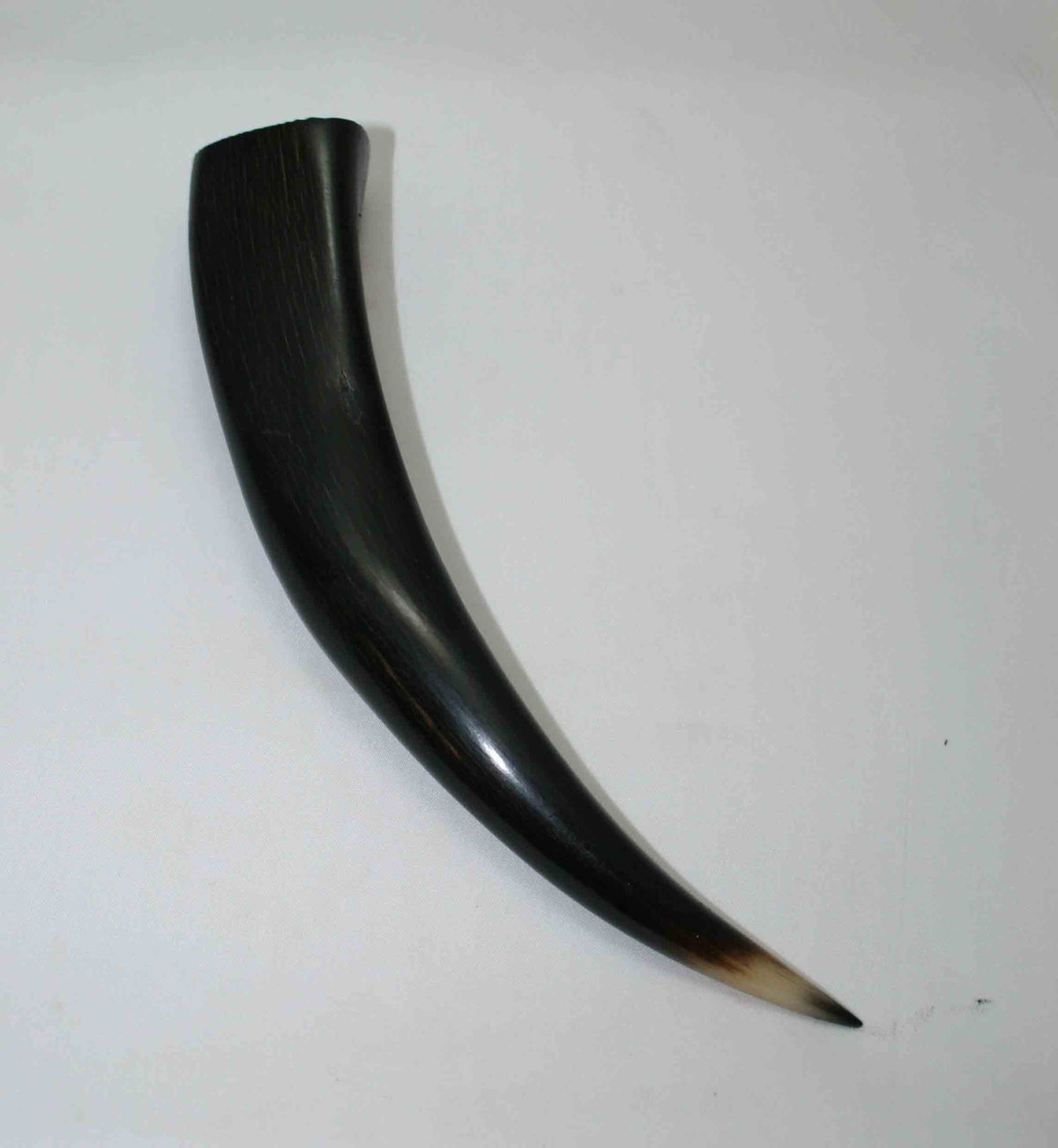 NB501JS5 Kudu Horn Tips