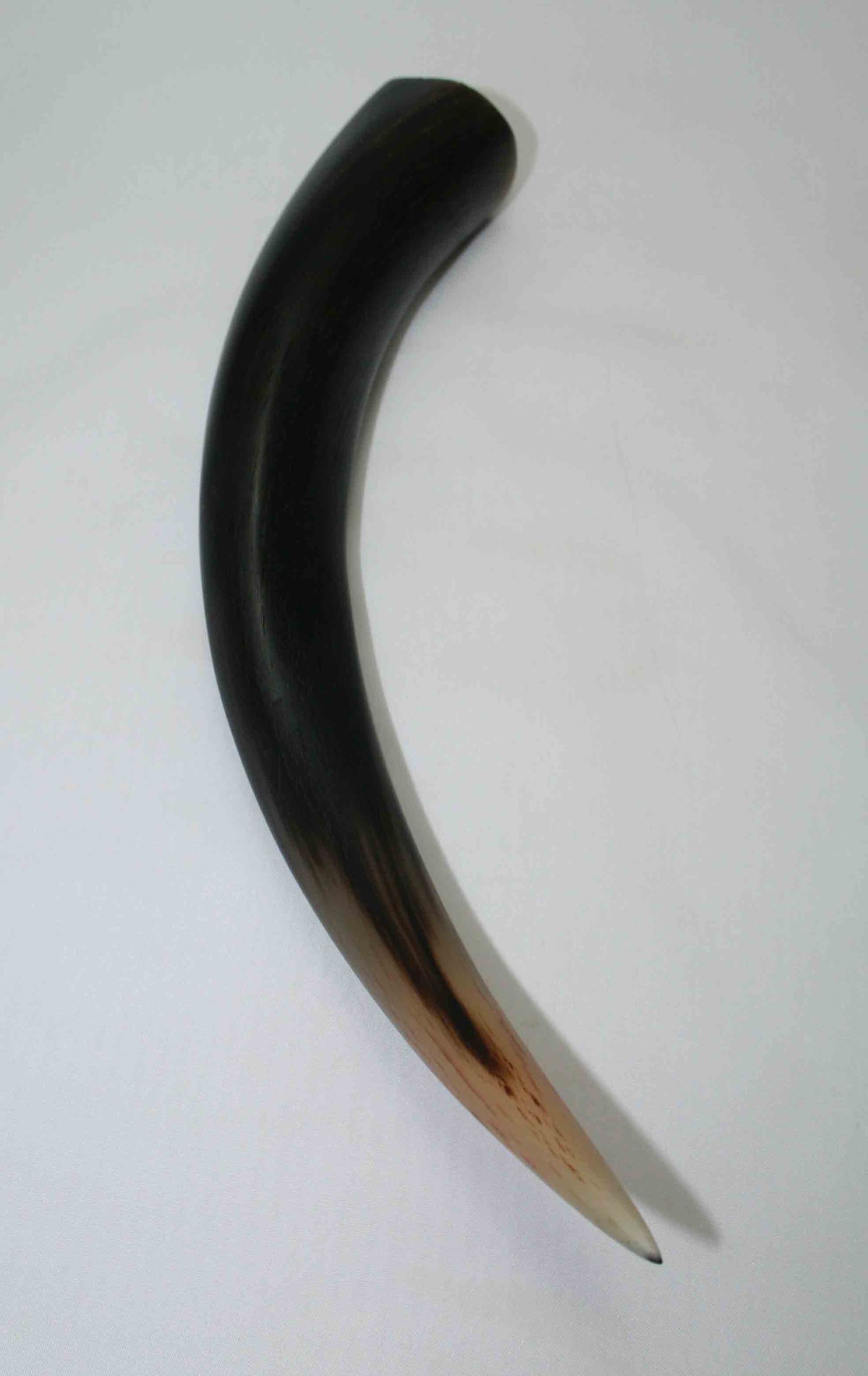 NB501MMA1 Kudu Horn Tips