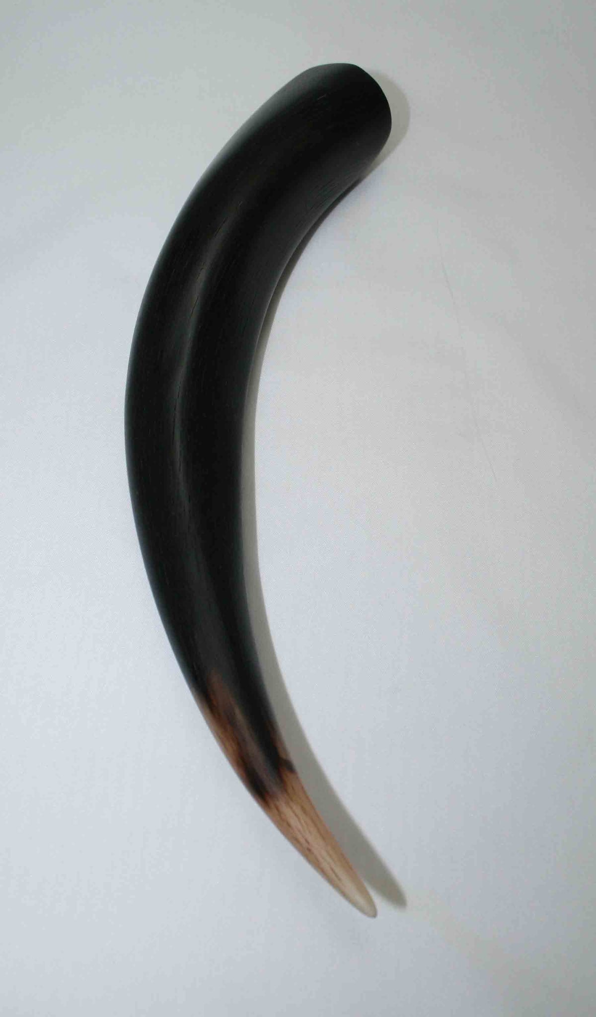 NB501MMA2 Kudu Horn Tips