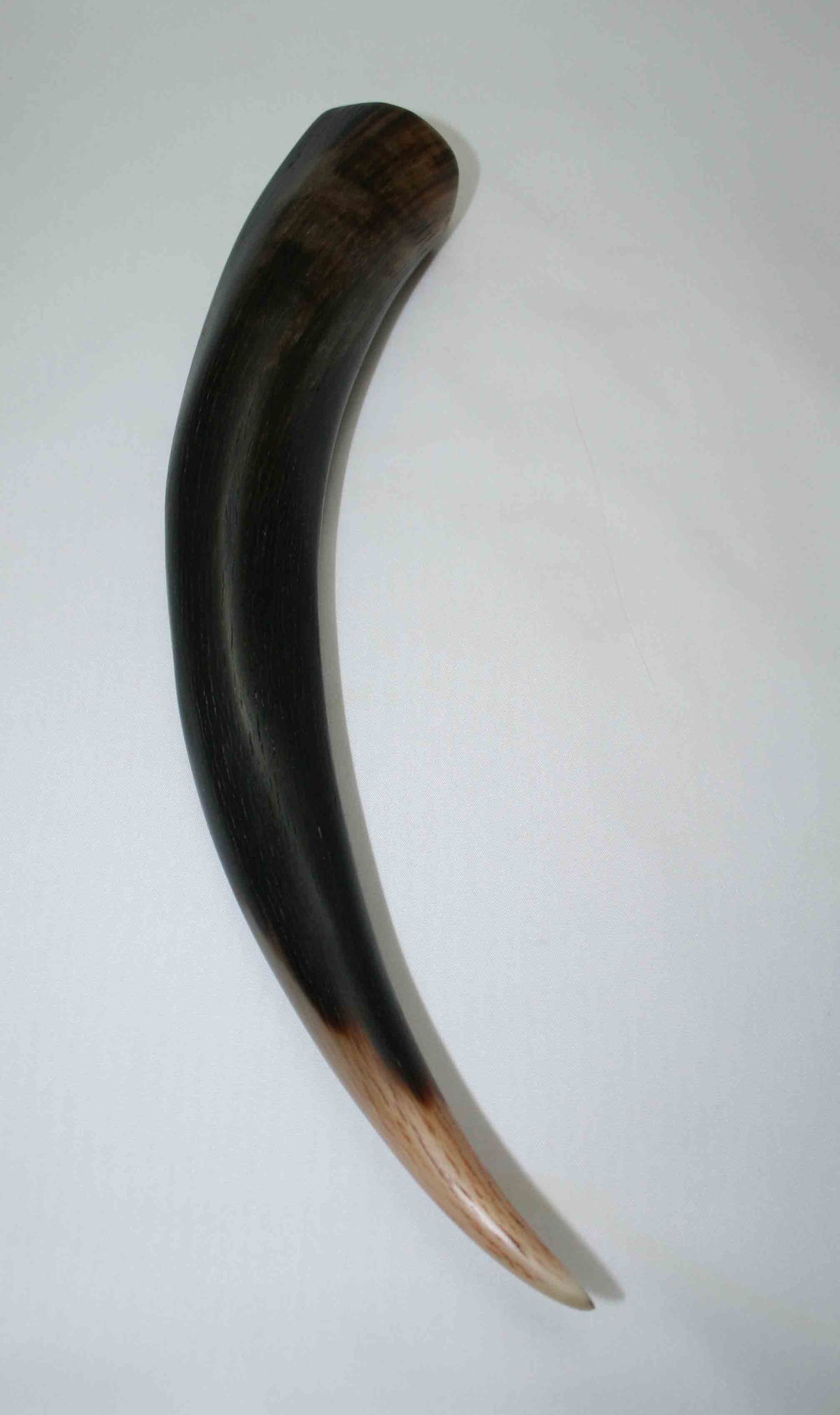 NB501MMA5 Kudu Horn Tips