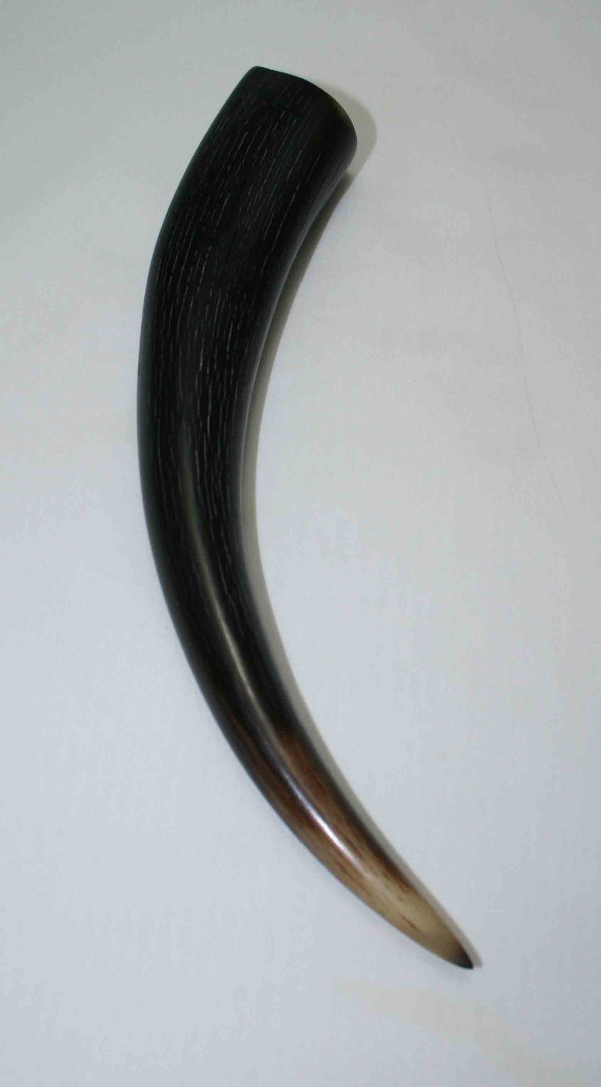 NB501MMA6 Kudu Horn Tips