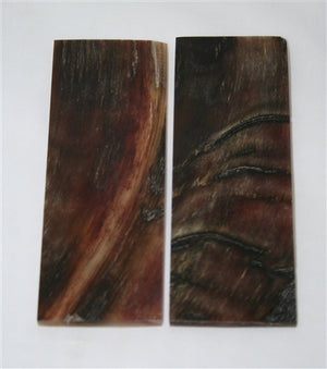 Kudu Horn Scales (set of 2) - Medium