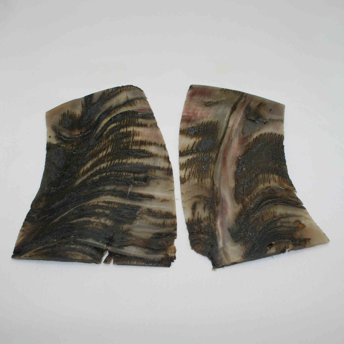 NB503LG3 Kudu Horn Scales Large (set of 2)