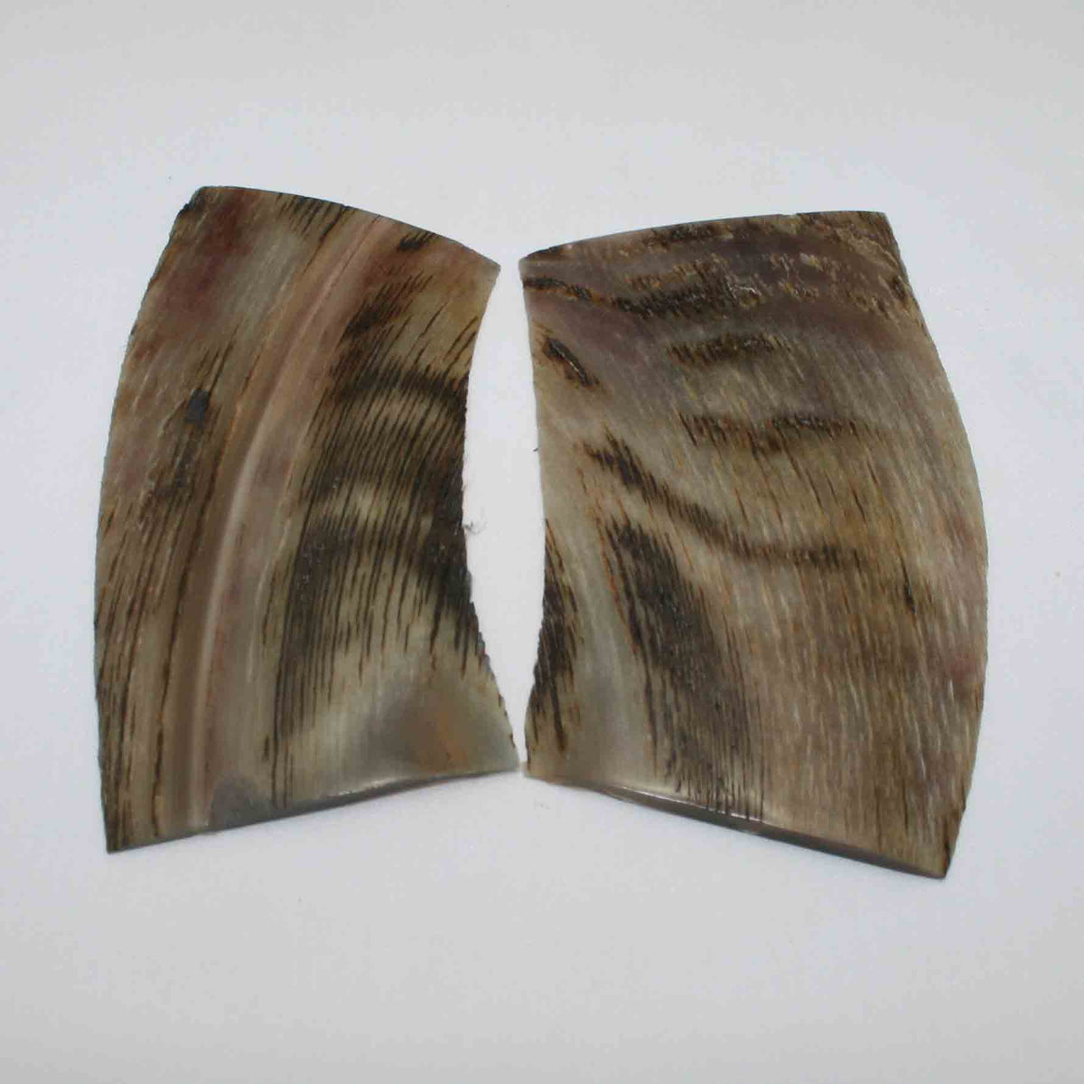 NB503LG5 Kudu Horn Scales Large (set of 2)