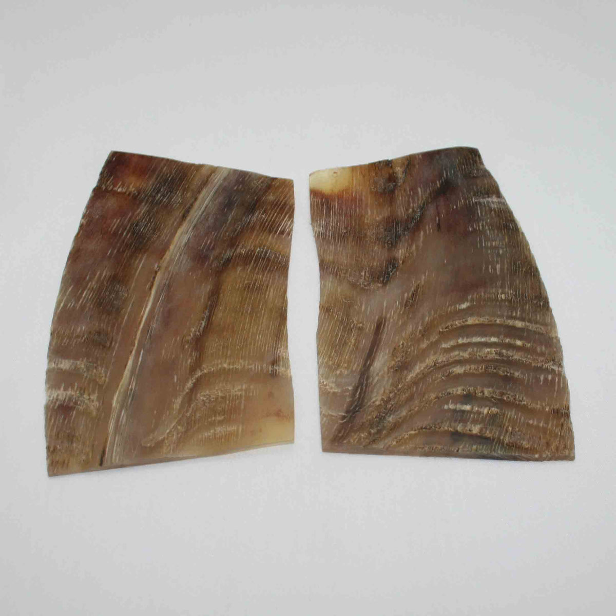 NB503MMA10 Kudu Horn Scales Large (set of 2)