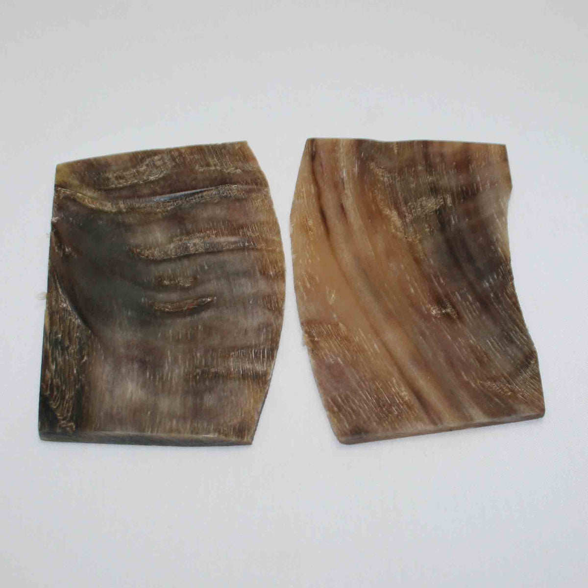 NB503MMA13 Kudu Horn Scales Large (set of 2)