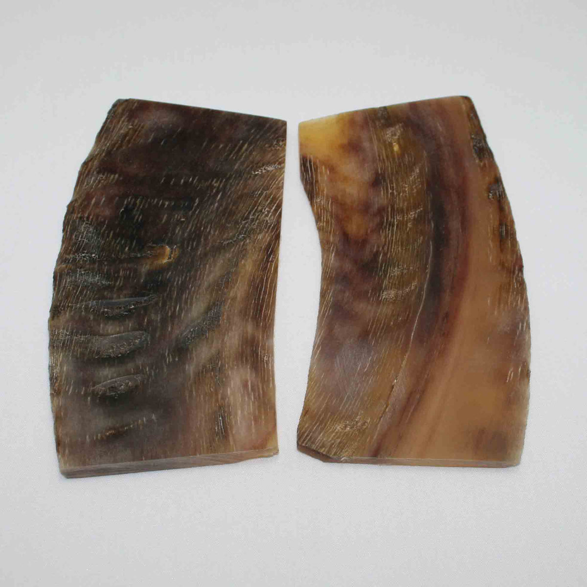 NB503MMA17 Kudu Horn Scales Large (set of 2)