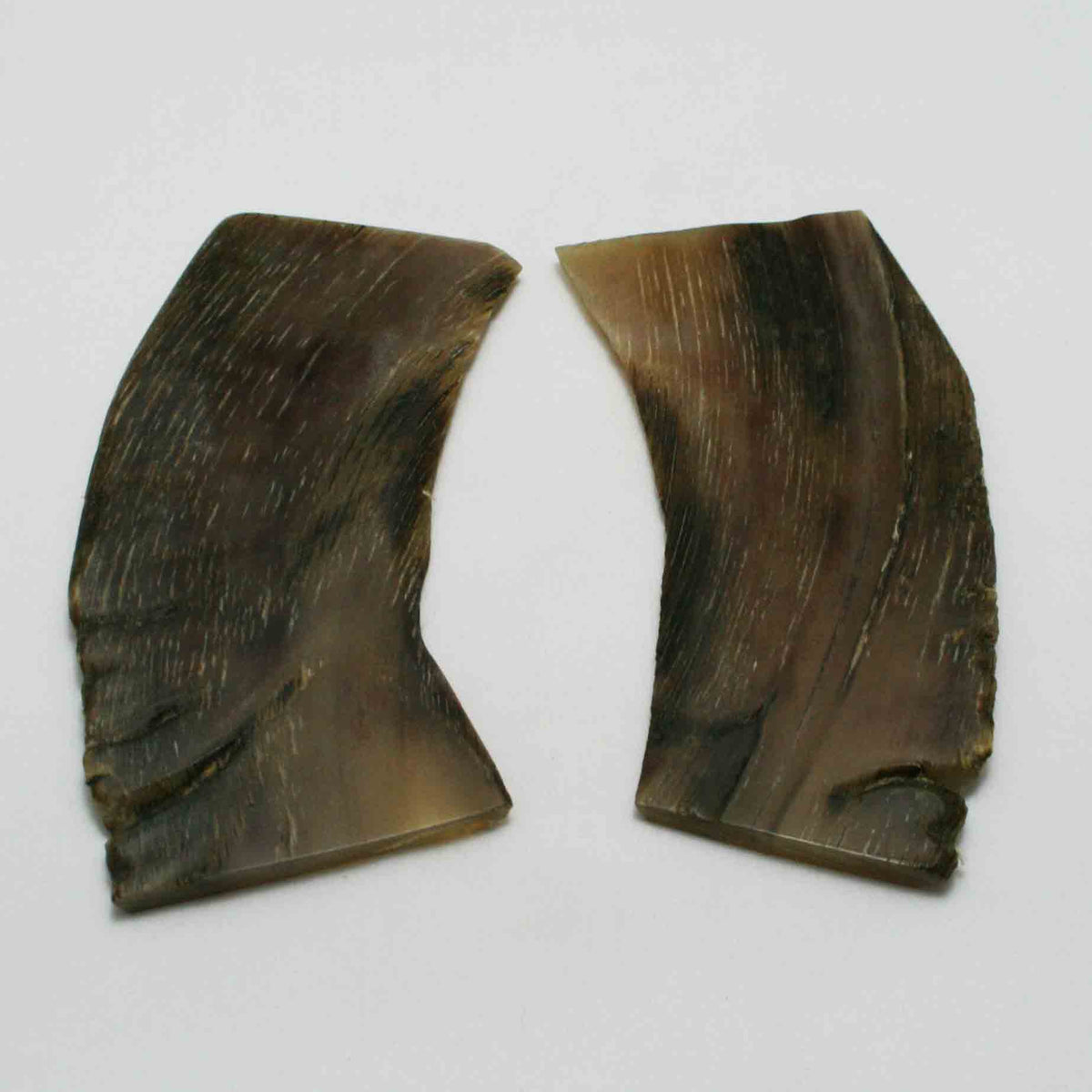 NB503MMA4 Kudu Horn Scales Large (set of 2)