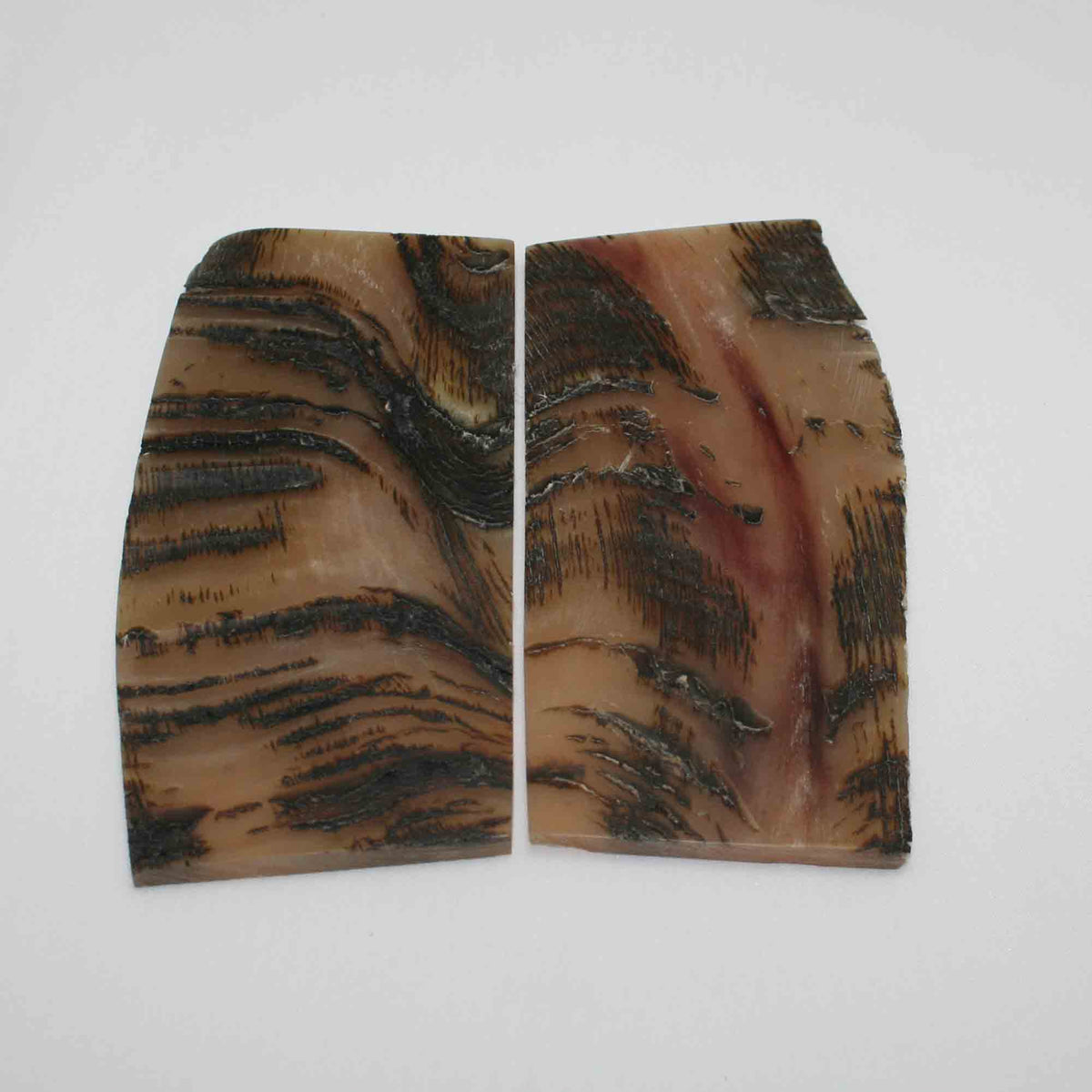 NB503MMA7 Kudu Horn Scales Large (set of 2)