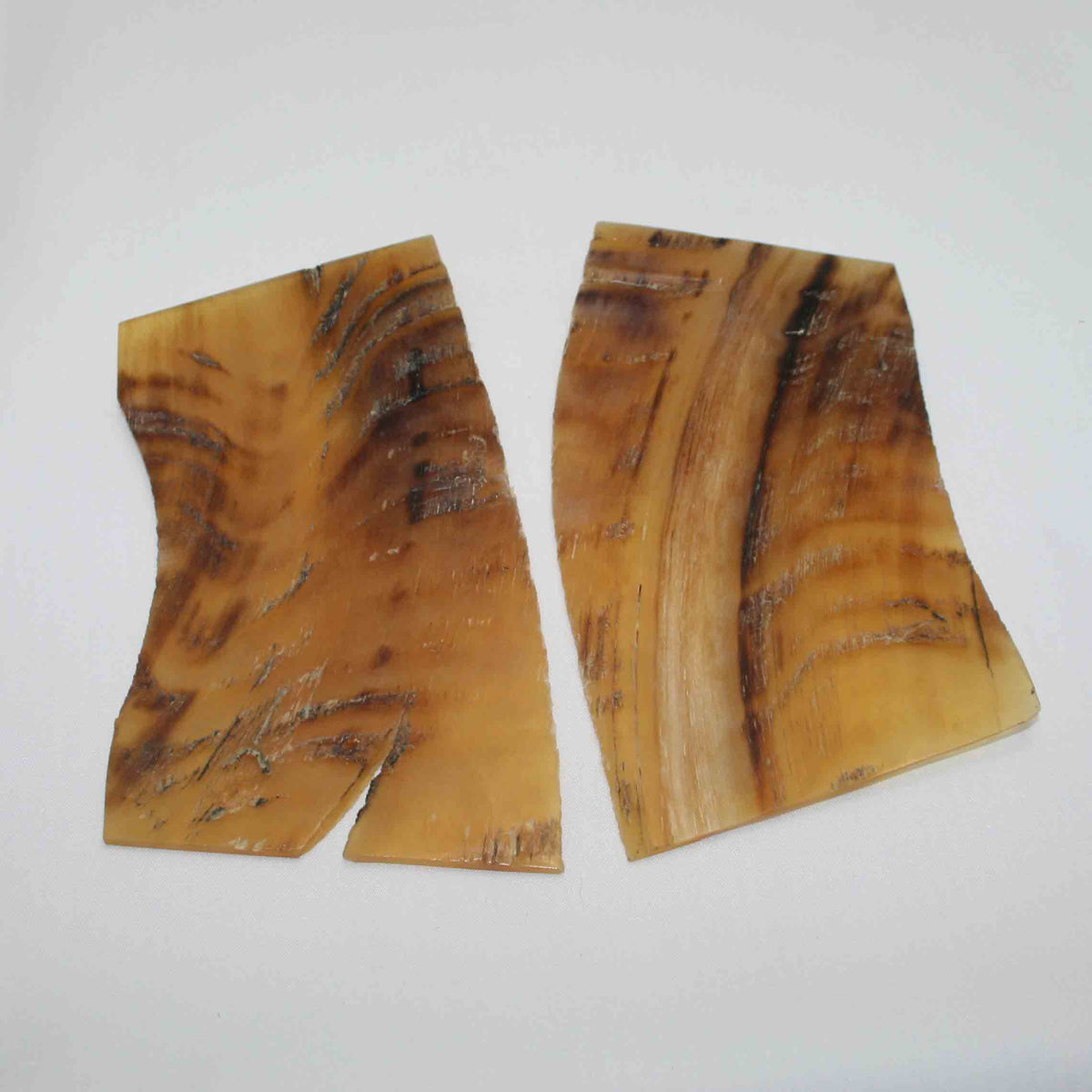 NB503MMA8 Kudu Horn Scales Large (set of 2)