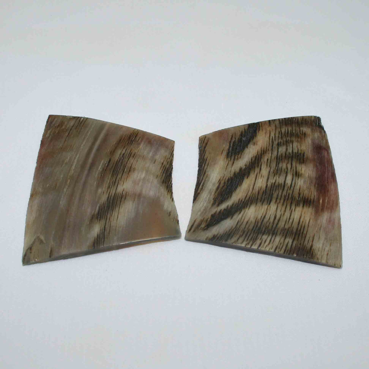 NB504LG1 Kudu Horn Scales Small (set of 2)