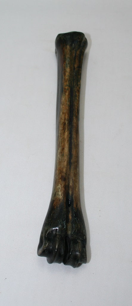 NB601GS11 Wildebeest Bone